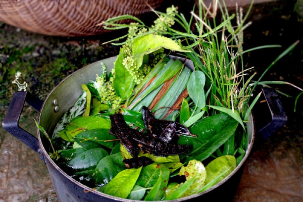 loại lá tắm trị cảm cúm cho bé