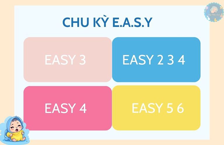 EASY gồm có 4 chu kỳ chính là EASY 3, EASY 4, EASY  2 3 4, EASY 5 6.
