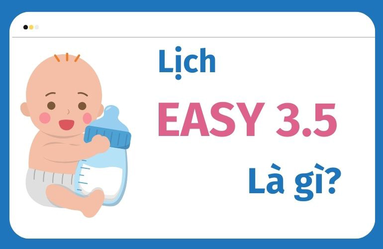 Lịch easy 3.5 là gì