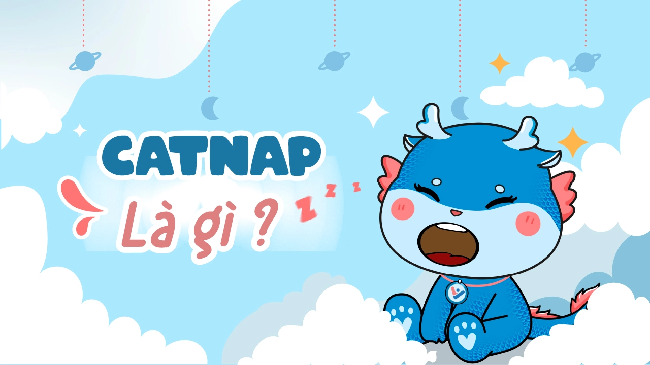Catnap là gì? Cách nhận biết và làm sao để khắc phục