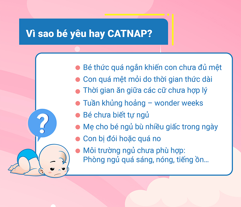 Nguyên nhân con catnap
