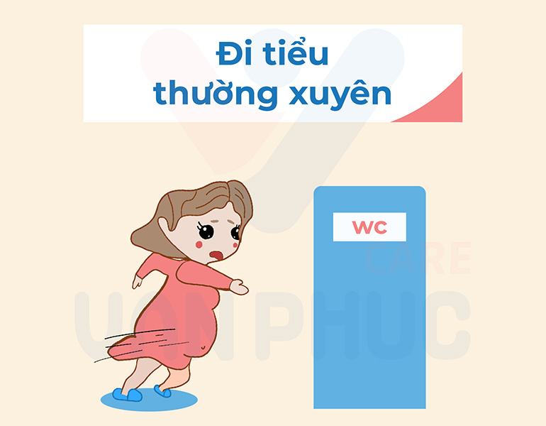 Dấu hiệu có thai: Đi tiểu thường xuyên