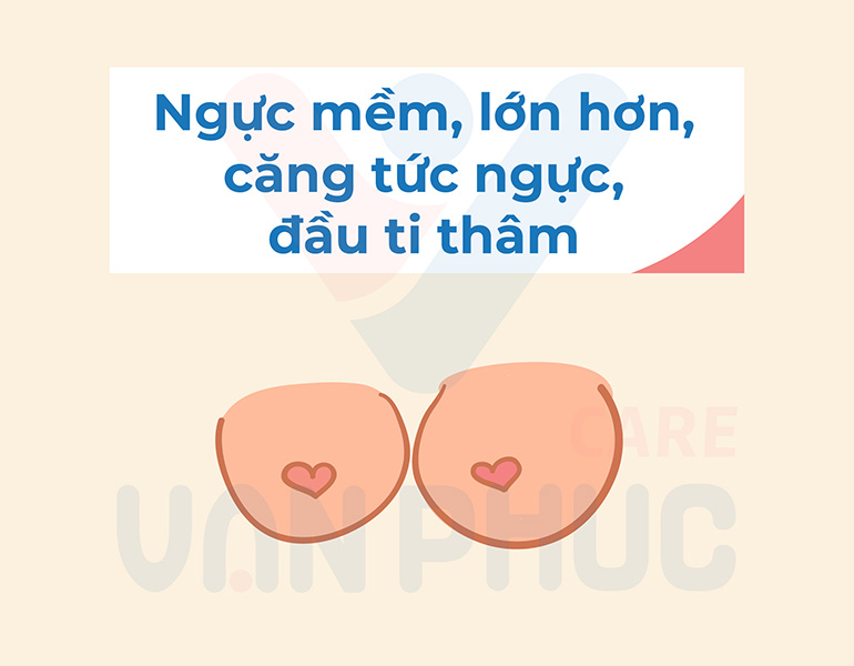 Dấu hiệu mang thai: căng tức ngực, ngực mềm