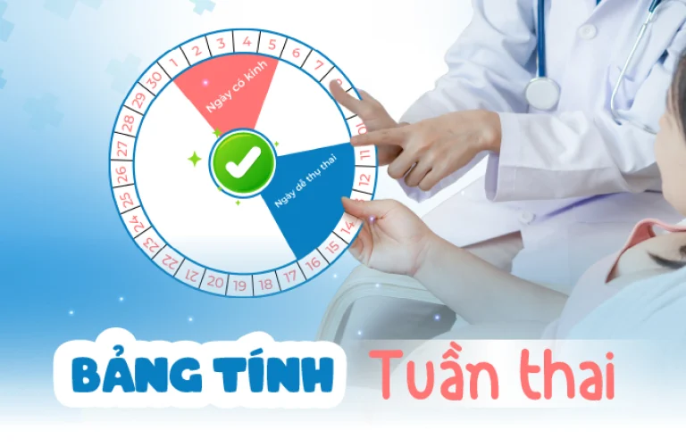 Bảng tính tuần thai