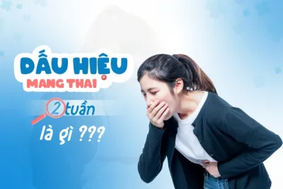 Dấu hiệu mang thai 2 tuần: Bạn có bỏ lỡ yếu tố nào không?