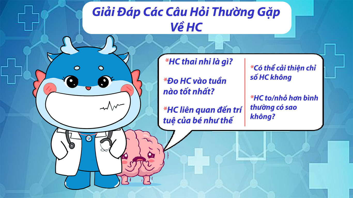 Giải đáp các câu hỏi thường gặp về HC