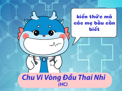 Chu vi vòng đầu thai nhi (Head Circumference) là gì ?