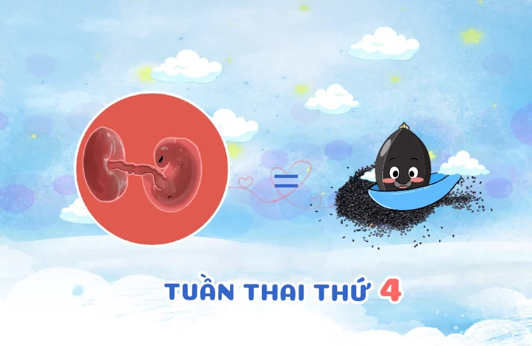 Tuần thai thứ 4 của mẹ bầu