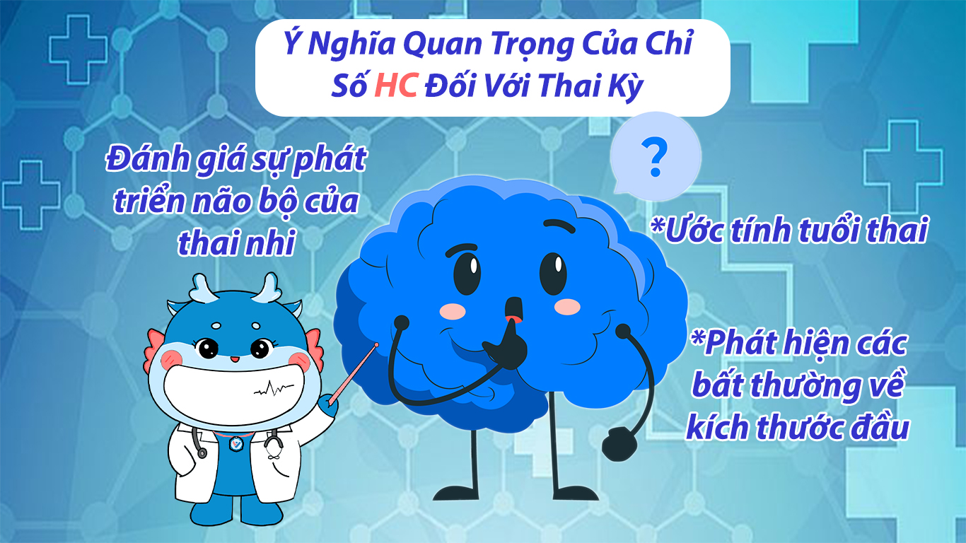 Ý nghĩa quan trọng của chỉ số HC đối với thai kỳ