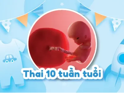 Thai nhi 10 tuần tuổi: Biểu hiện & Triệu chứng thường gặp của mẹ