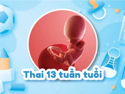 Thai 13 Tuần: Mở đầu tam cá nguyệt thứ hai