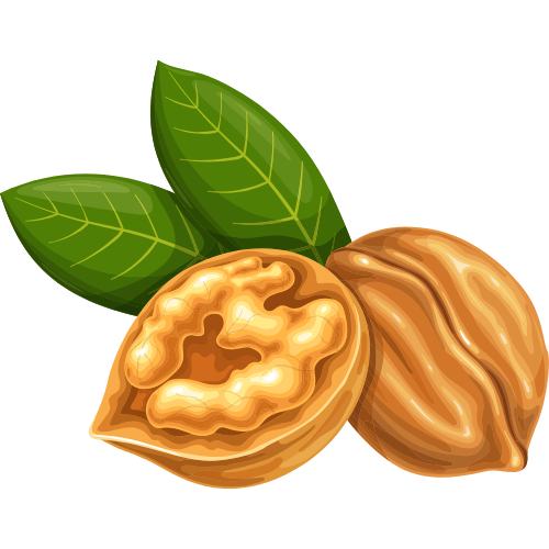 icon hạt