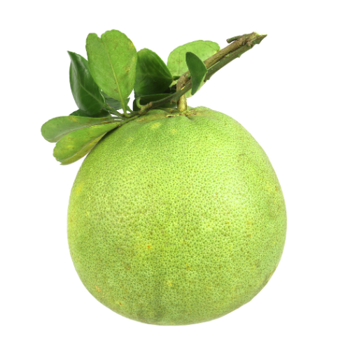 Lá Bưởi
