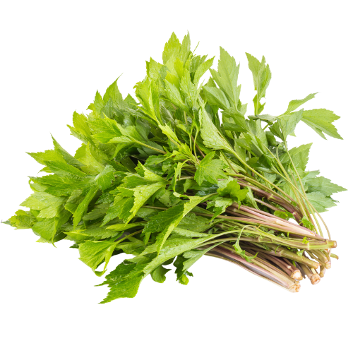 Lá Ngải Cứu