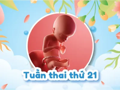 Thai 21 Tuần Nặng Bao Nhiêu Và Các Chỉ Số Siêu Âm 4D Mẹ Cần Nắm Rõ