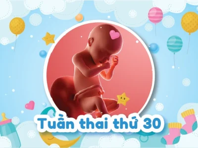 30 Tuần Thai Nhi Nặng Bao Nhiêu Là Chuẩn Cha Mẹ Nhỉ