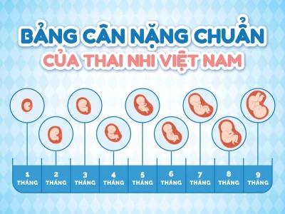 Bảng Cân Nặng Chuẩn Của Thai Nhi Việt Nam (Cập Nhật 2025)