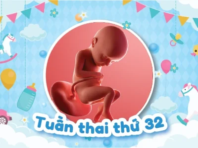 Chỉ Số Thai Nhi 32 Tuần Và Hình Ảnh Siêu Âm 4D Rõ Nét Nhất