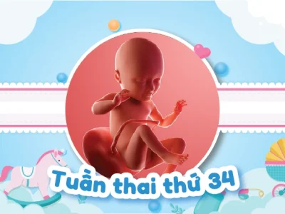 Hiểu Đúng Về Hiện Tượng Thai Nhi 34 Tuần Gò Cứng Bụng