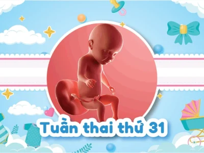 Sự Phát Triển Và Hình Ảnh Thai Nhi 31 Tuần Trong Bụng Mẹ