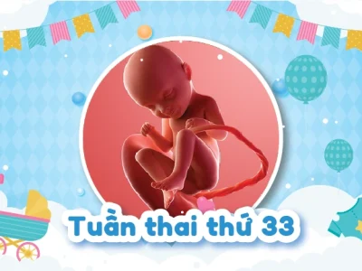 Những Điều Mẹ Biết Qua Hình Ảnh Thai Nhi 33 Tuần Trong Bụng Mẹ