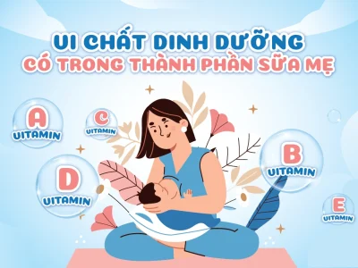 Vi Chất Dinh Dưỡng Có Trong Thành Phần Sữa Mẹ